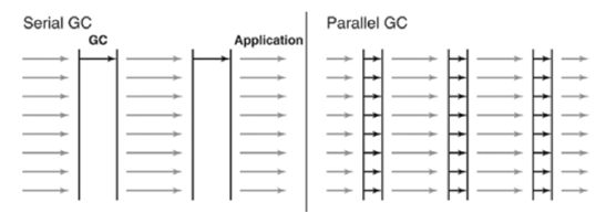 Serial GC & Parallel GC